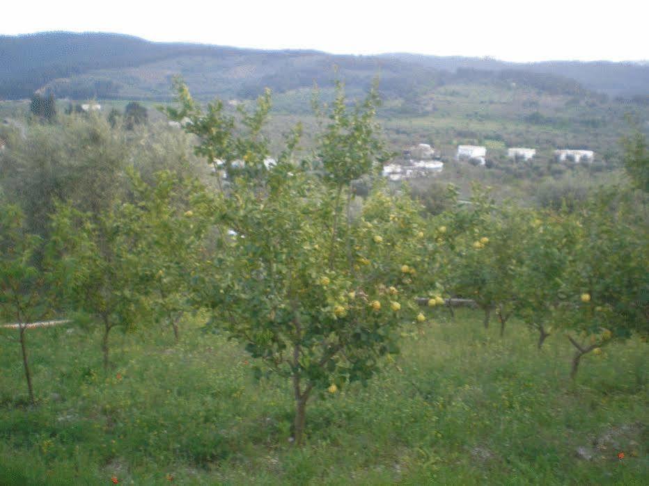 Parco Dei Limoni Guest House Пешичи Екстериор снимка